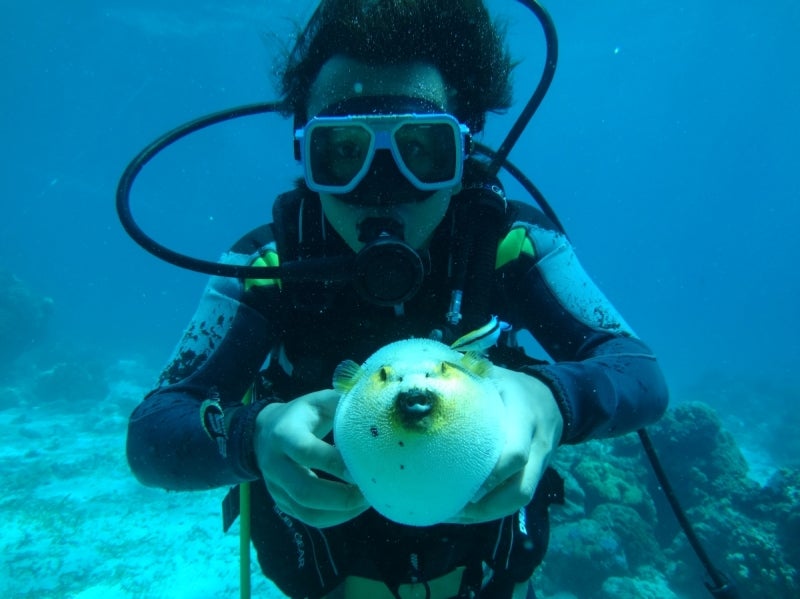 CebuDiving4