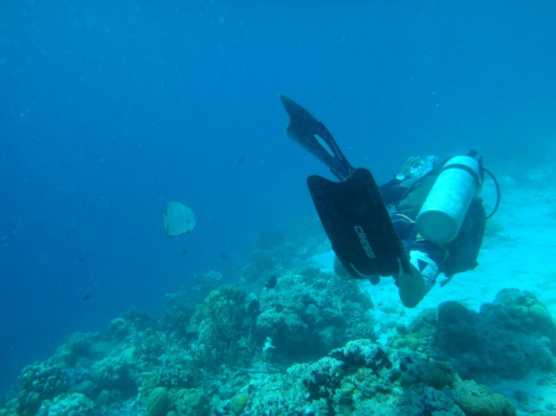 CebuDiving3