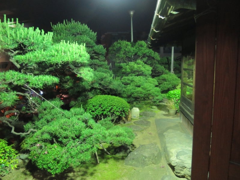 長崎7-19