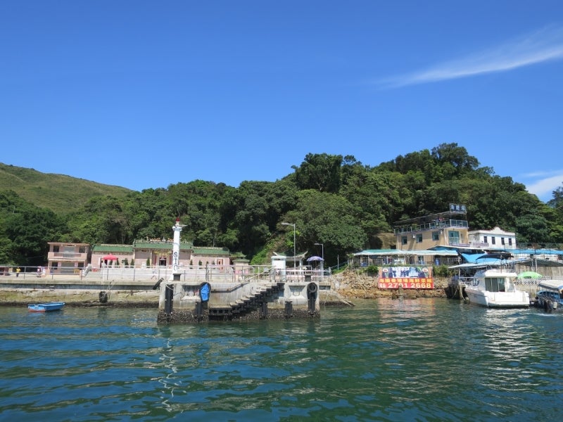 SeaUrchin7