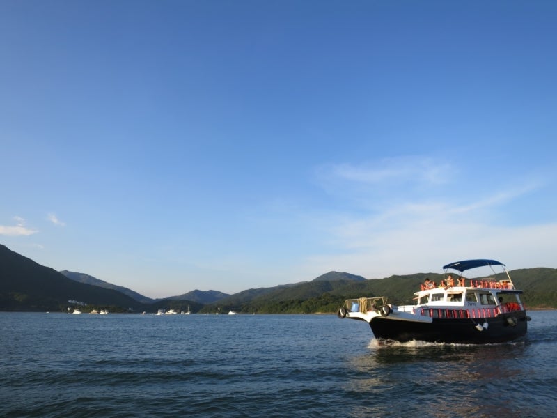 SeaUrchin25