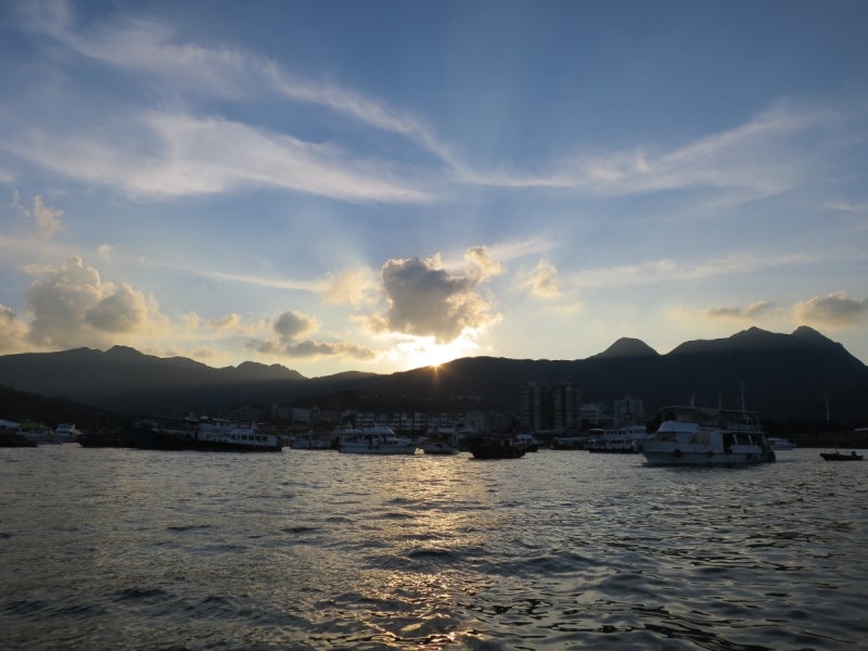 SeaUrchin27