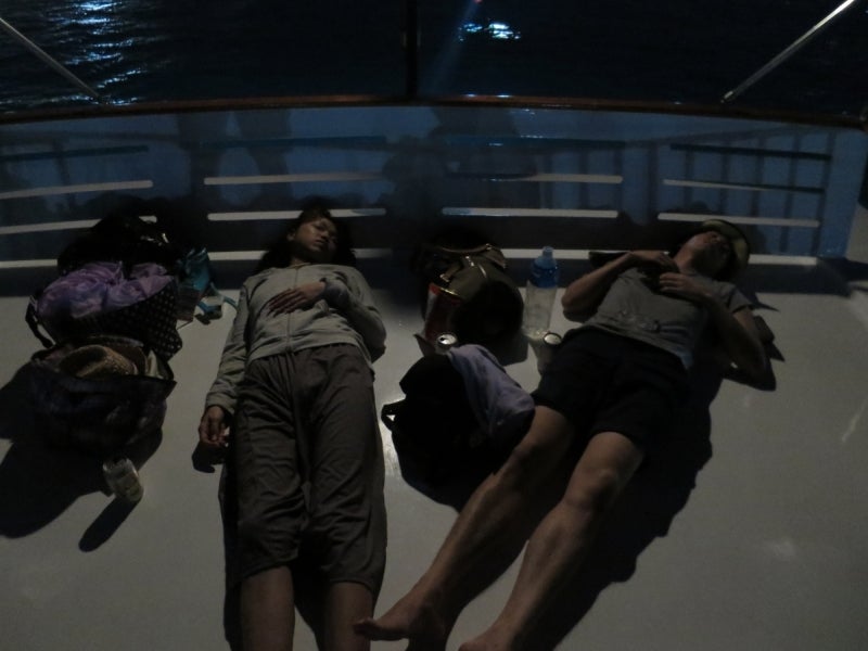 SquidFishing8