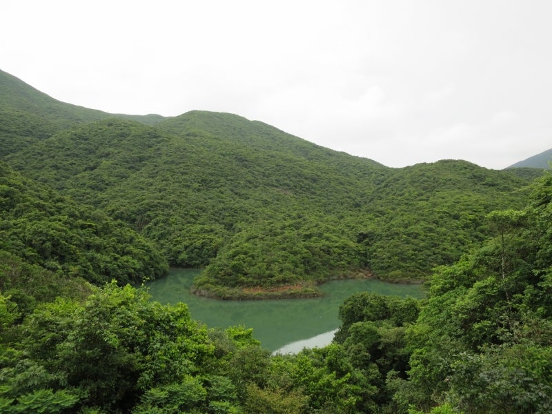 Trail2