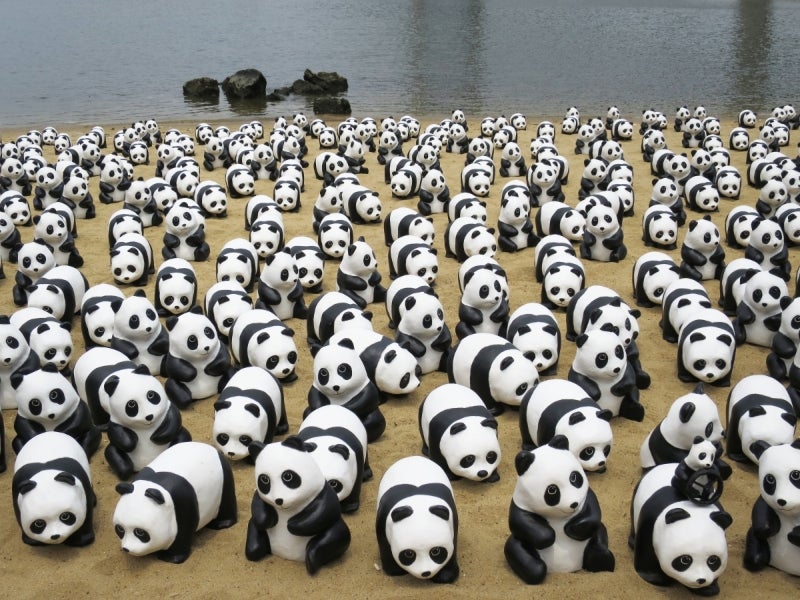 Panda2