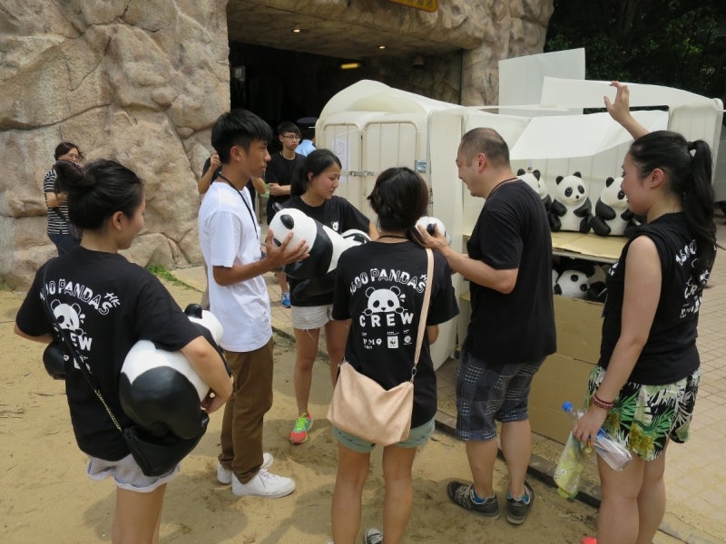 Panda6