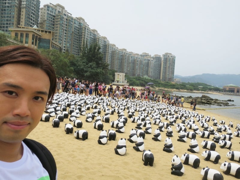 Panda5