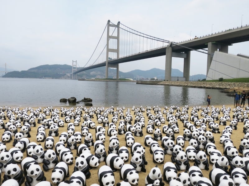 Panda1