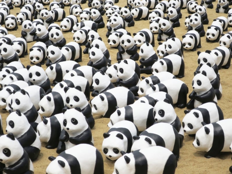 Panda4