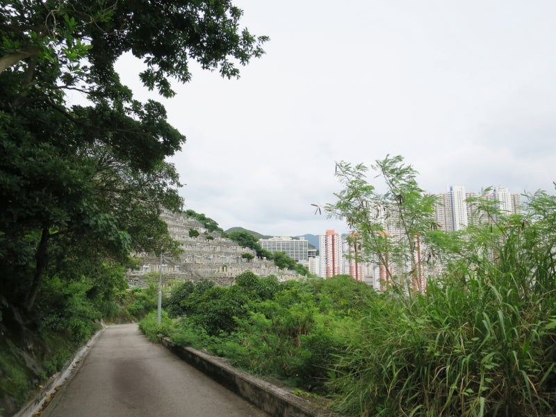 PokFuLam7