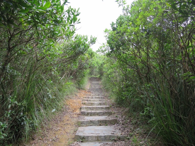 PokFuLam3