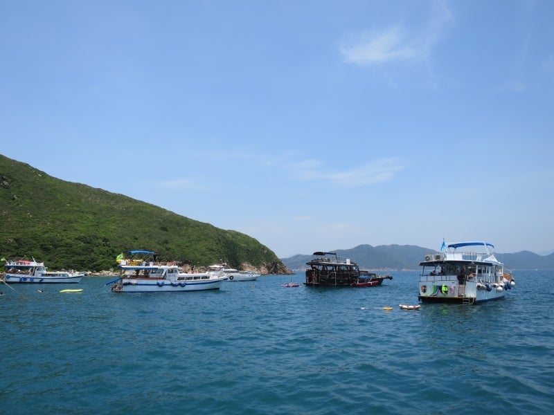 Cruise2