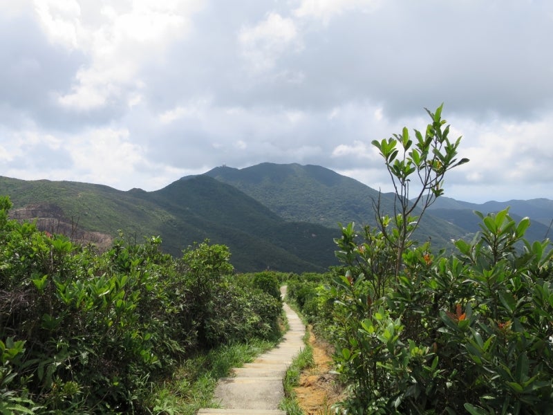 Jardine'sLookout4