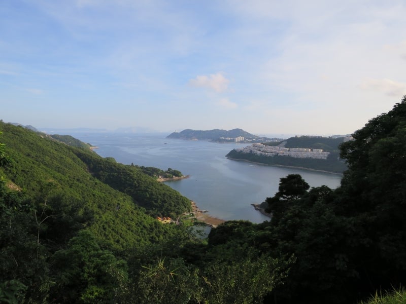 Taitam8