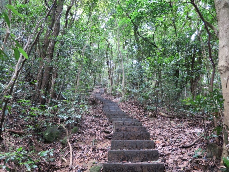 黄竹坑6