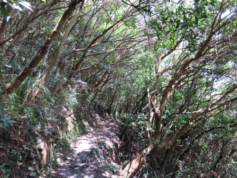 HongkongTrail1-8