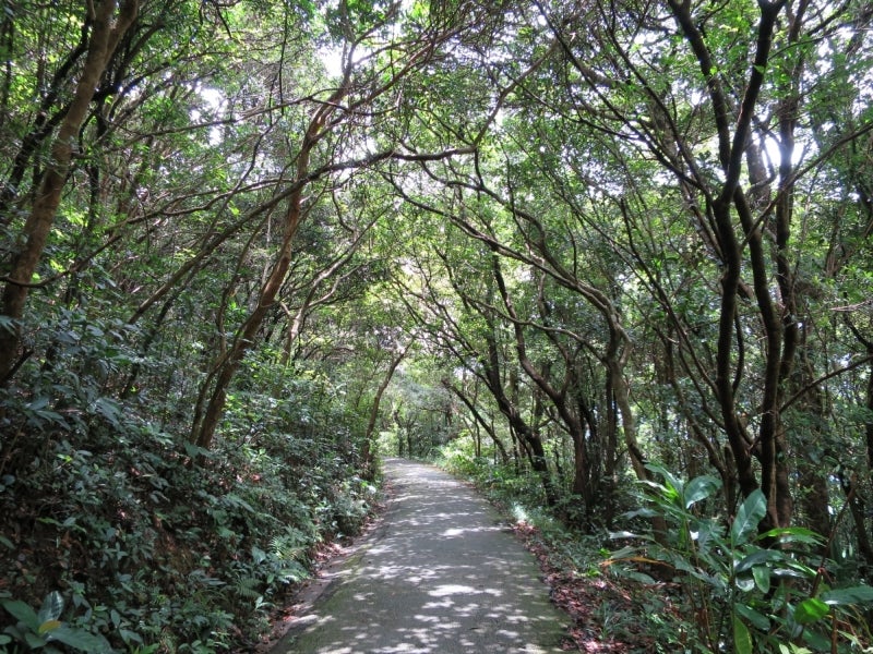 HongkongTrail1-6
