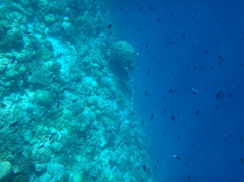 Maldives3-8