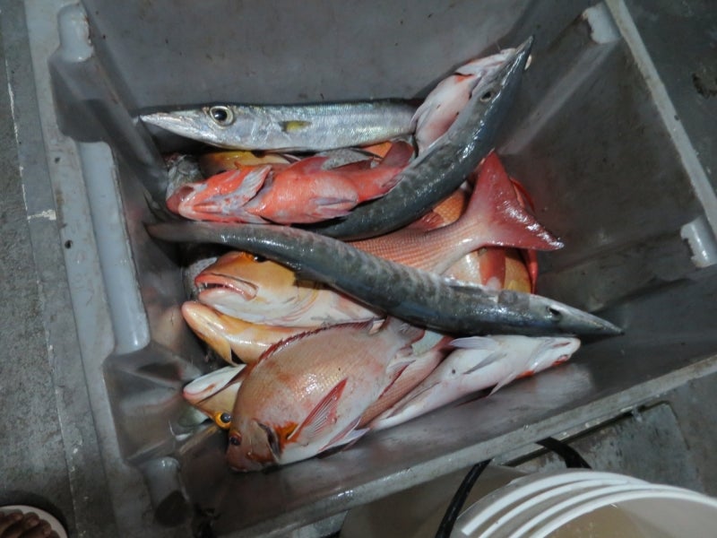 Maldives5-5