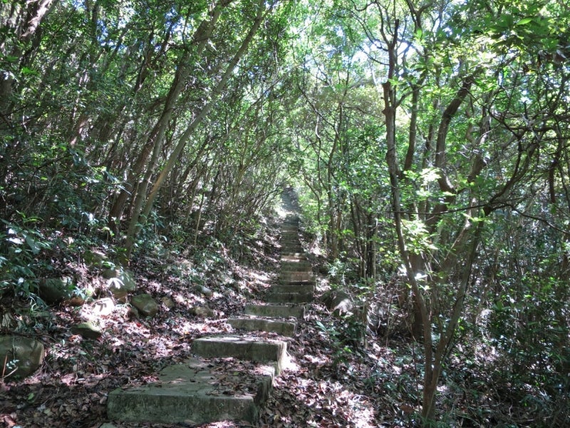 HongkongTrailNo3-1