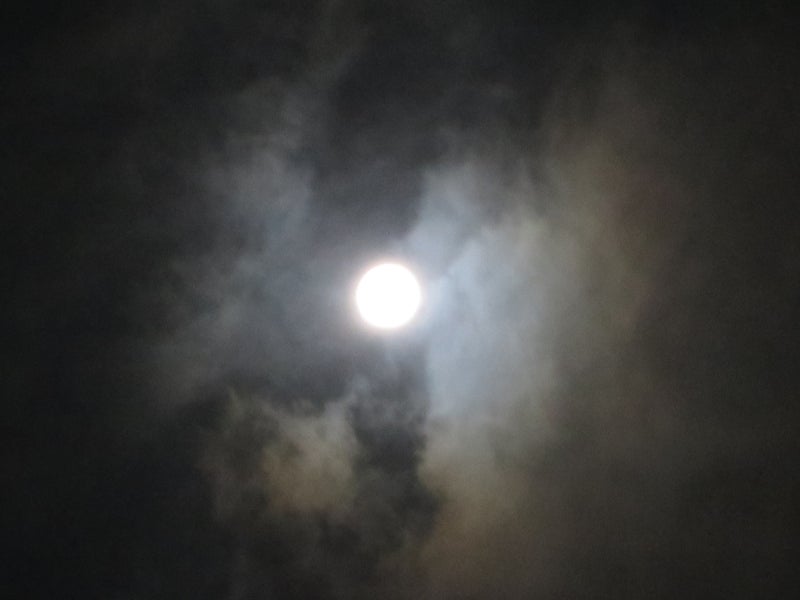 Mid-AutumnFestival7