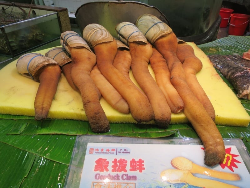 広州2-15