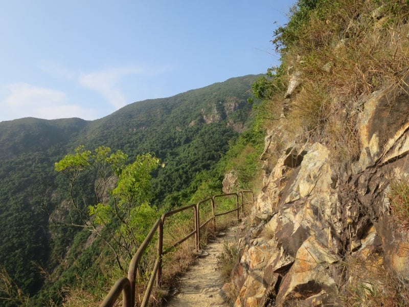 裏山4