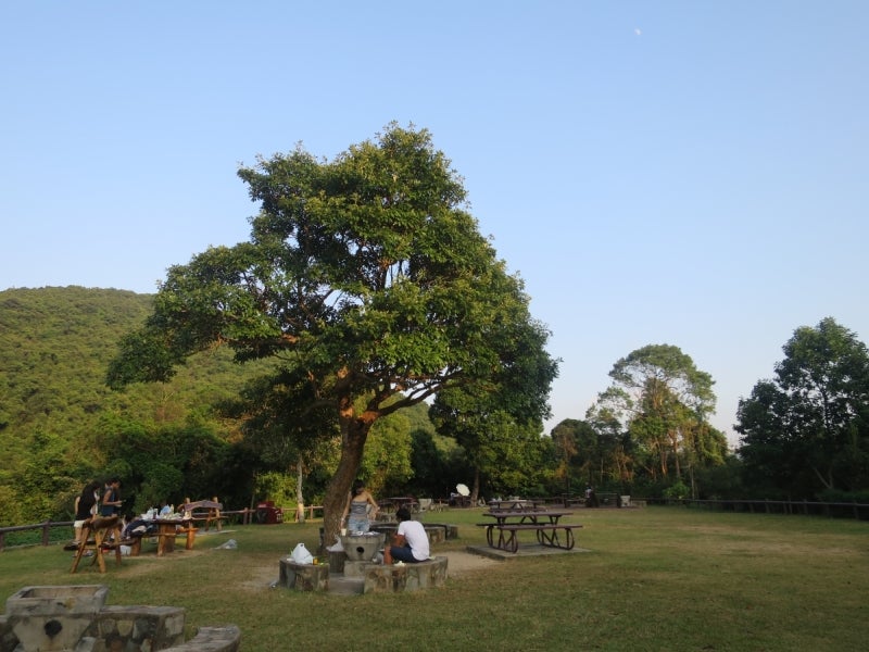 大潭郊野公園6