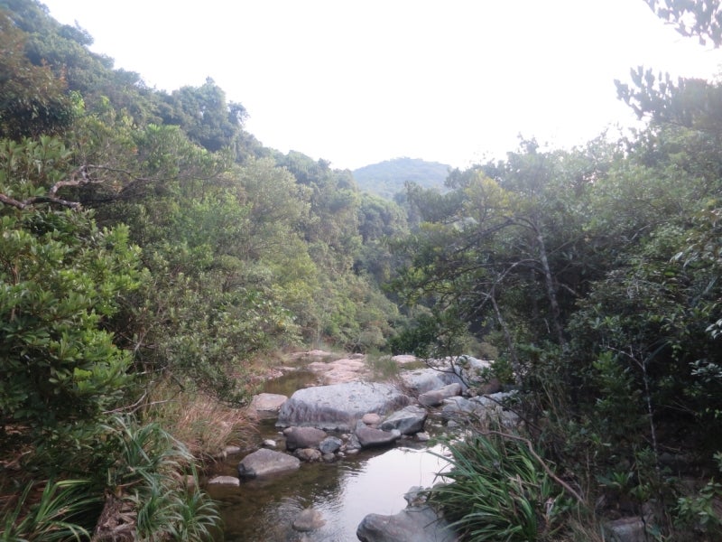 大潭郊野公園9