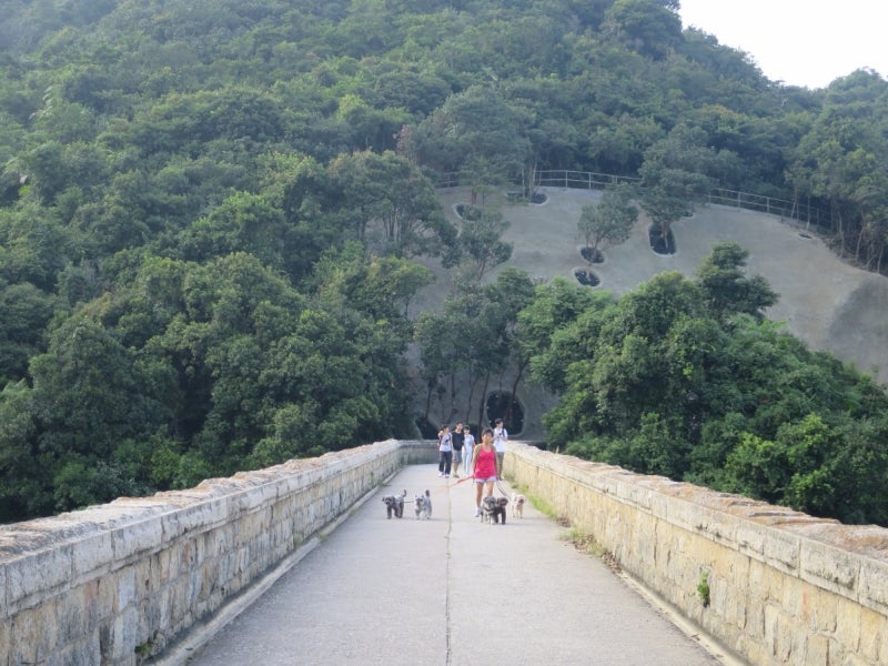 大潭郊野公園3