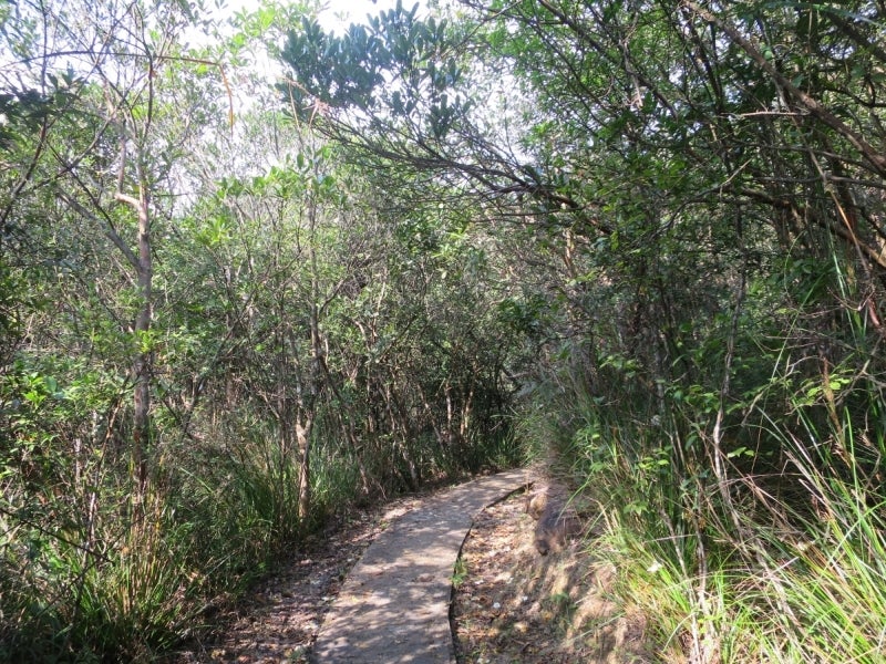 AberdeenNatureTrail4
