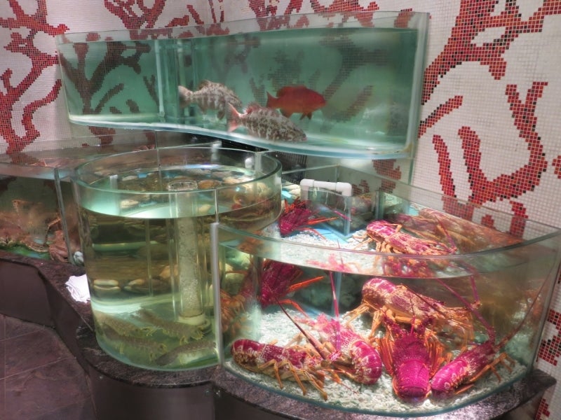 火鍋2