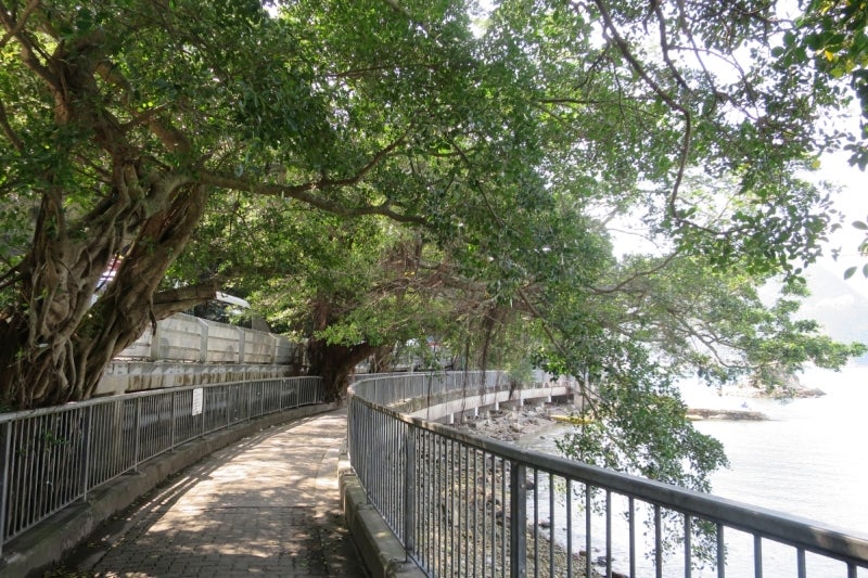 HongKongLife3