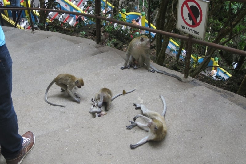 KualaLumpur4-4