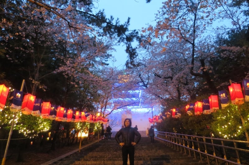 鎮海桜祭20