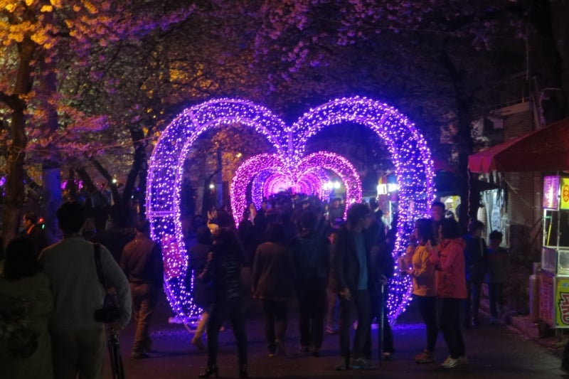 鎮海桜祭26