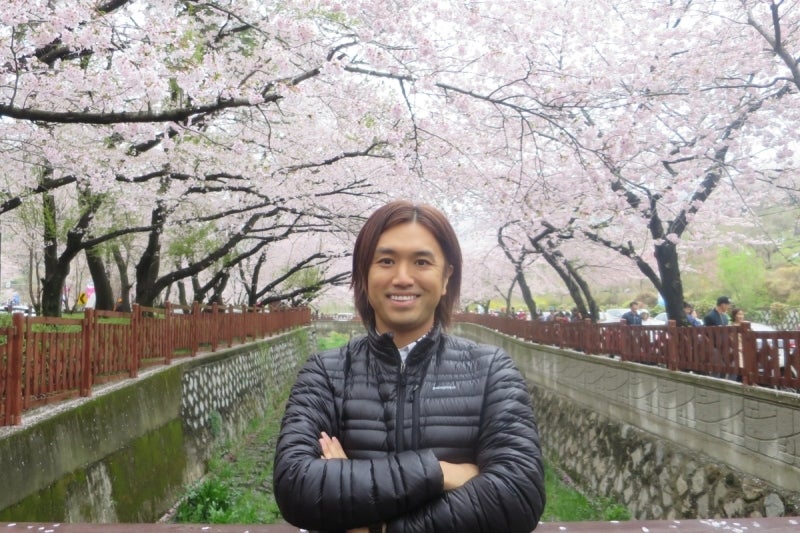 鎮海桜祭1