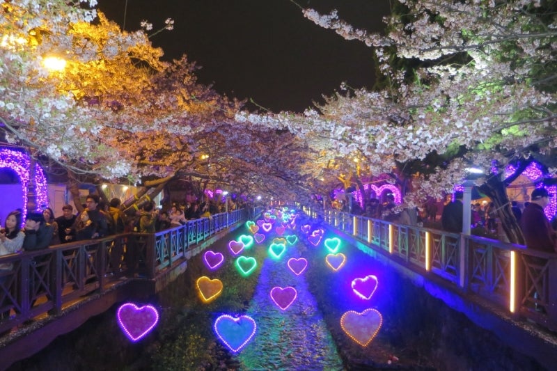 鎮海桜祭23