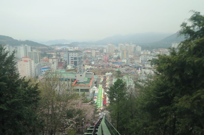 鎮海桜祭16