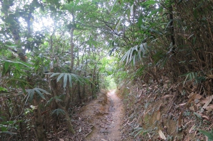 Treking2