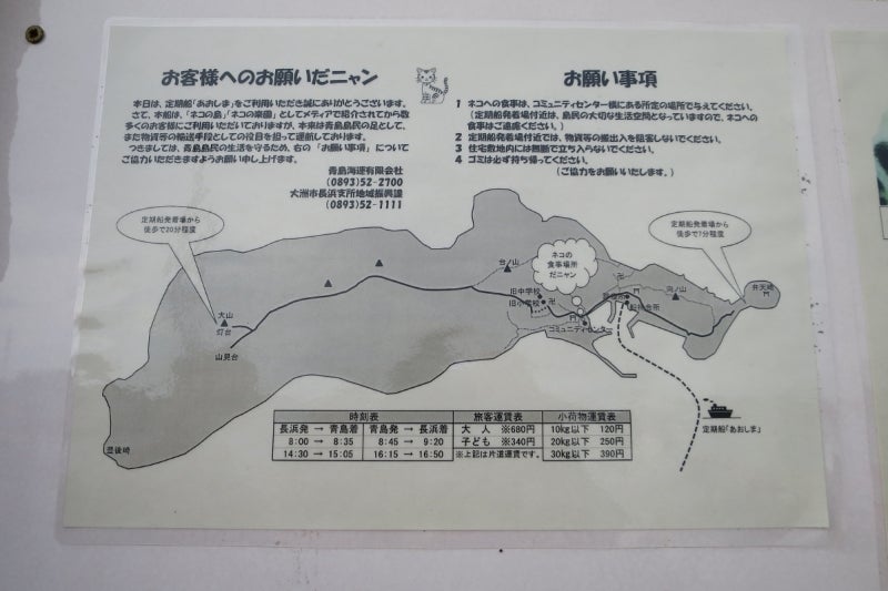 猫島3