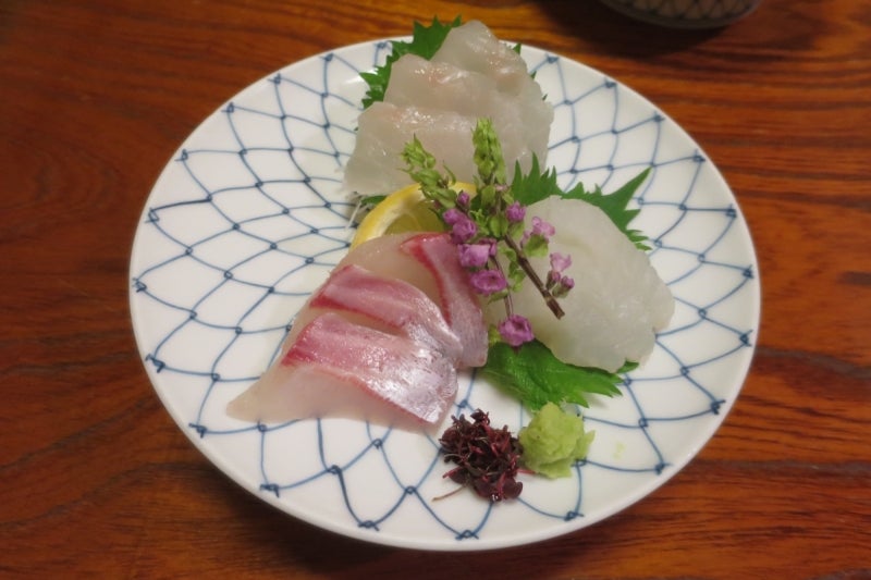 猫島40