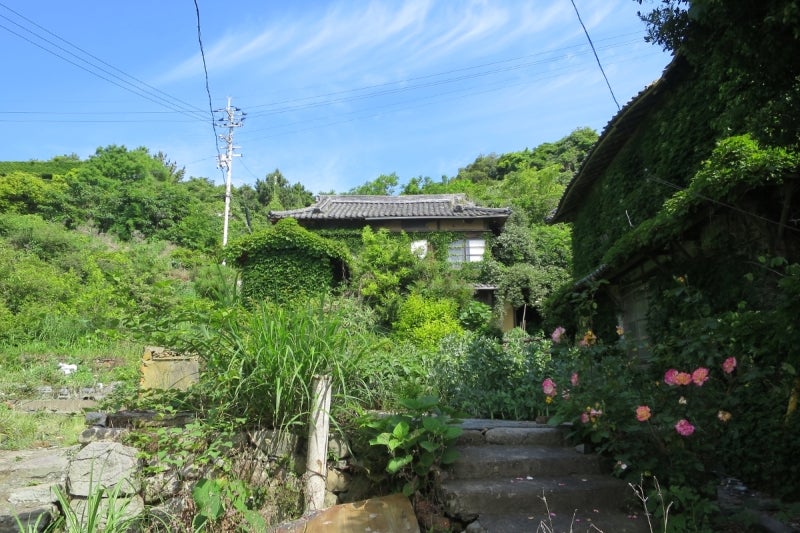 猫島18
