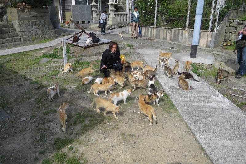 猫島13