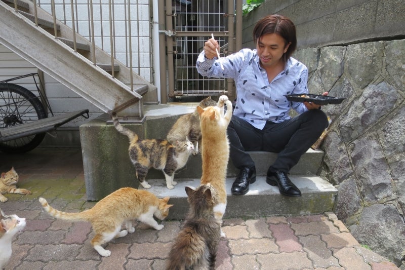 猫島21