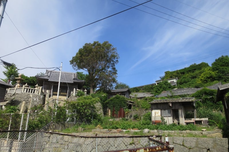 猫島14