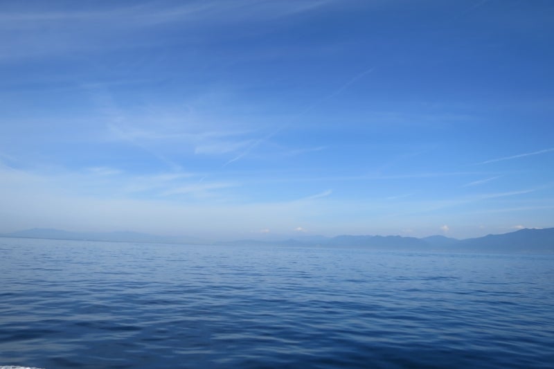 猫島36