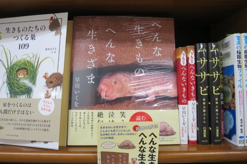 Bookstore11