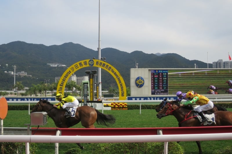 香港沙田競馬場6