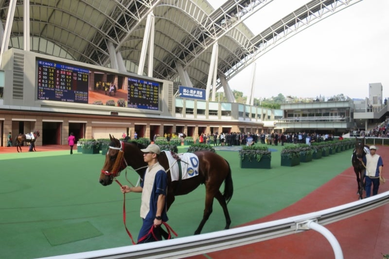 香港沙田競馬場3